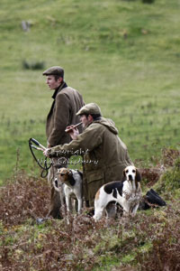 Hunting pictures by Betty Fold Gallery Hawkshead Cumbria